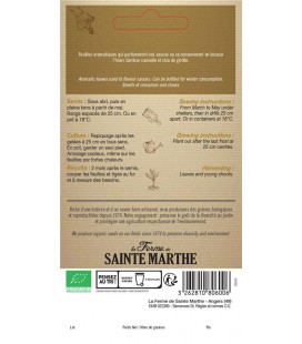 BASILIC Cannelle AB - Semences reproductibles bio