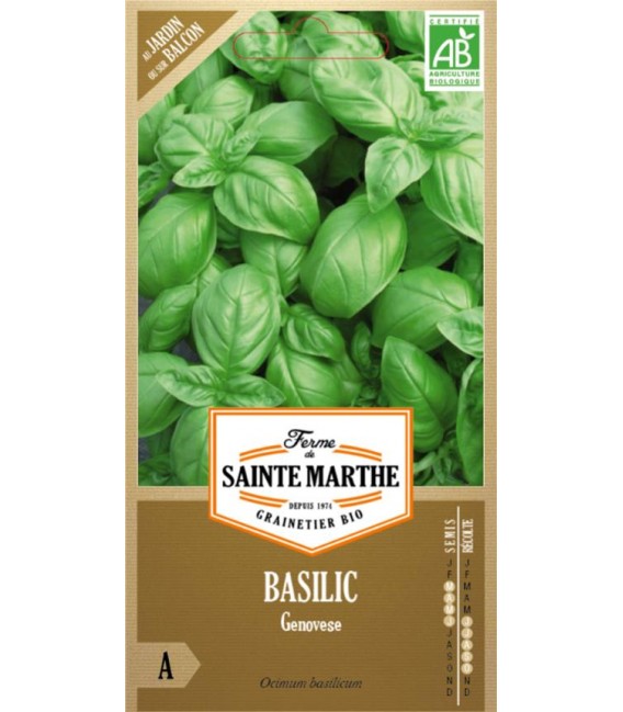 BASILIC Genovese AB - Semences reproductibles bio