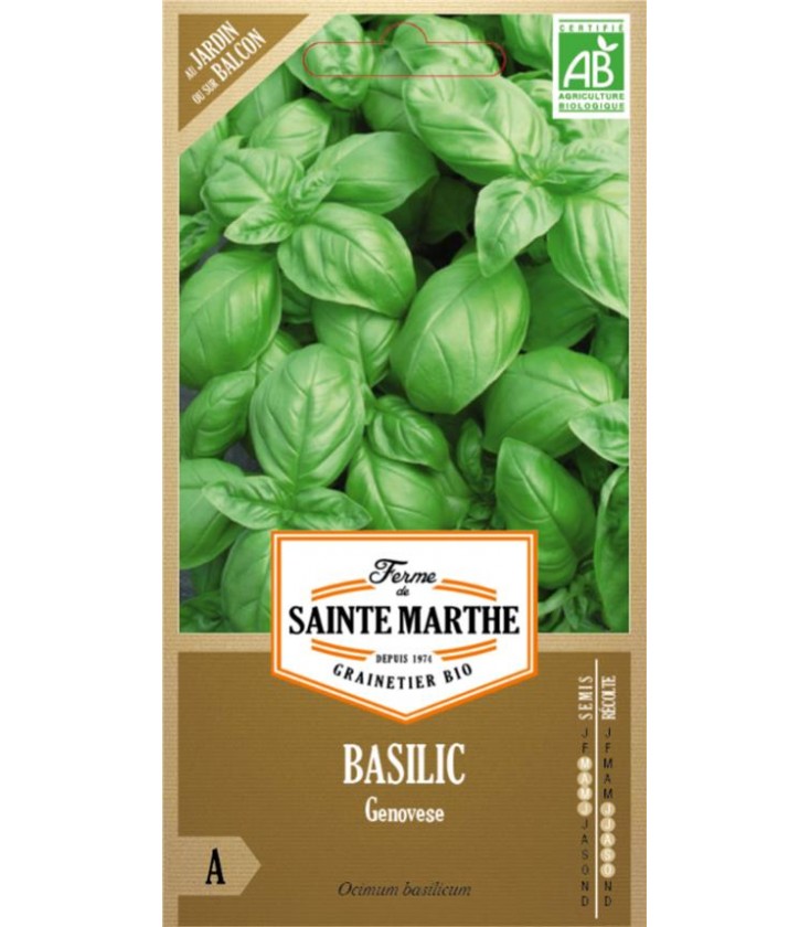 BASILIC Genovese AB - Semences reproductibles bio