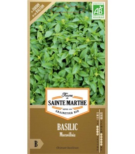 BASILIC Marseillais AB - Semences reproductibles bio