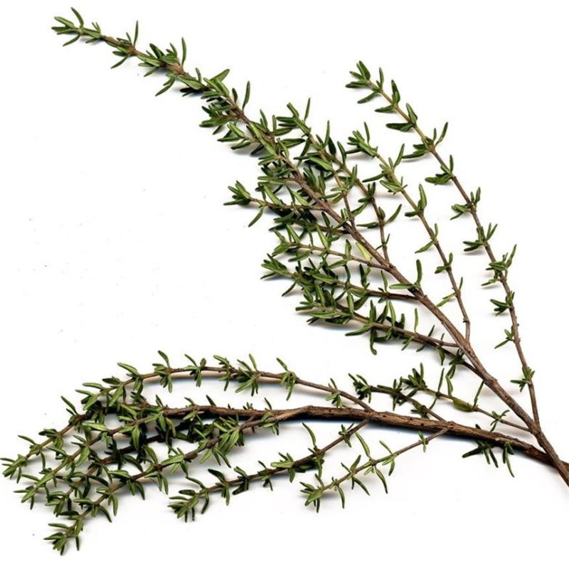 TOMATE Noire de Crimée AB  - Semences reproductibles bio