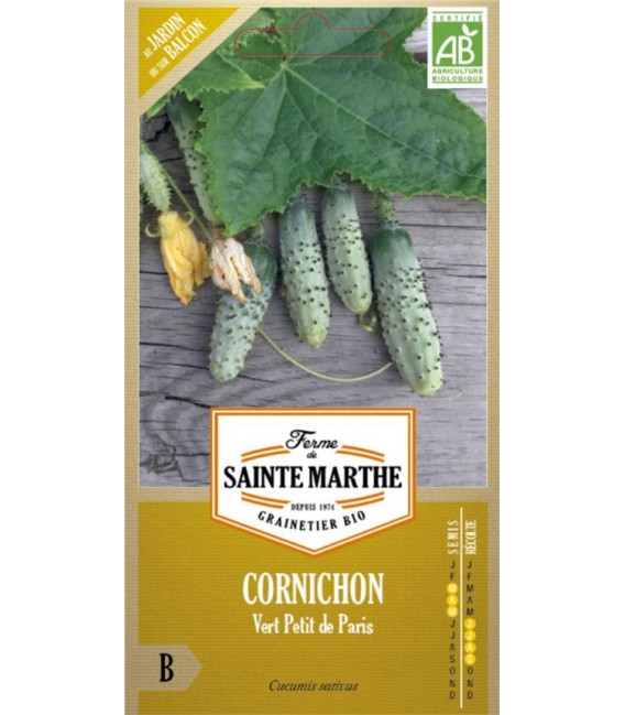 CORNICHON Vert Petit de Paris AB - Semences reproductibles bio