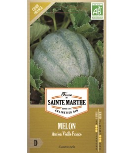 MELON Ancien Vieille France AB - Semences reproductibles bio