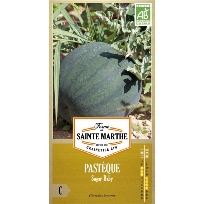 PASTÈQUE Sugar Baby AB  - Semences reproductibles bio