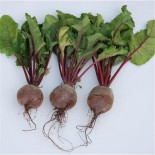 TOMATE Noire de Crimée AB  - Semences reproductibles bio