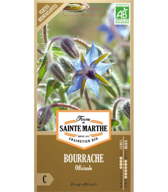 BOURRACHE Officinale AB - Semences reproductibles bio