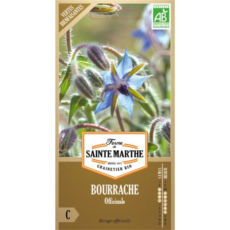 TOMATE Noire de Crimée AB  - Semences reproductibles bio