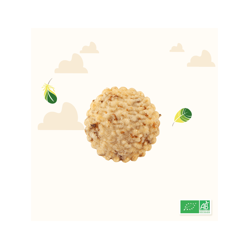 P’tit Biscuit salé aux oignons bio et équitable