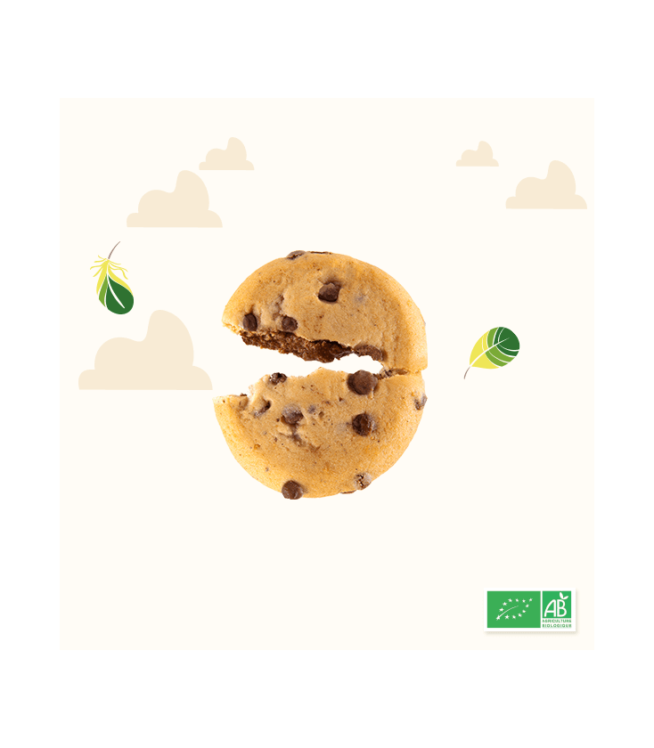 Cookies tout chocolat bio et équitable