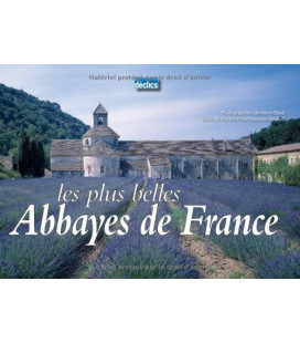 Les Plus Belles Abbayes De France (Occasion)