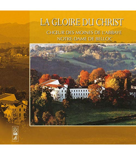 fiche vierge création dvd 0.097