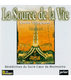 fiche vierge création dvd 0.097