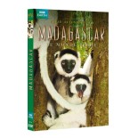 TITRE FICHE VIERGE CRÉATION dvd (occasion)(neuf)