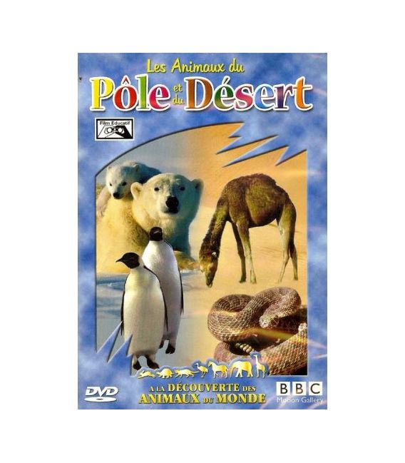 TITRE FICHE VIERGE CRÉATION dvd (occasion)(neuf)