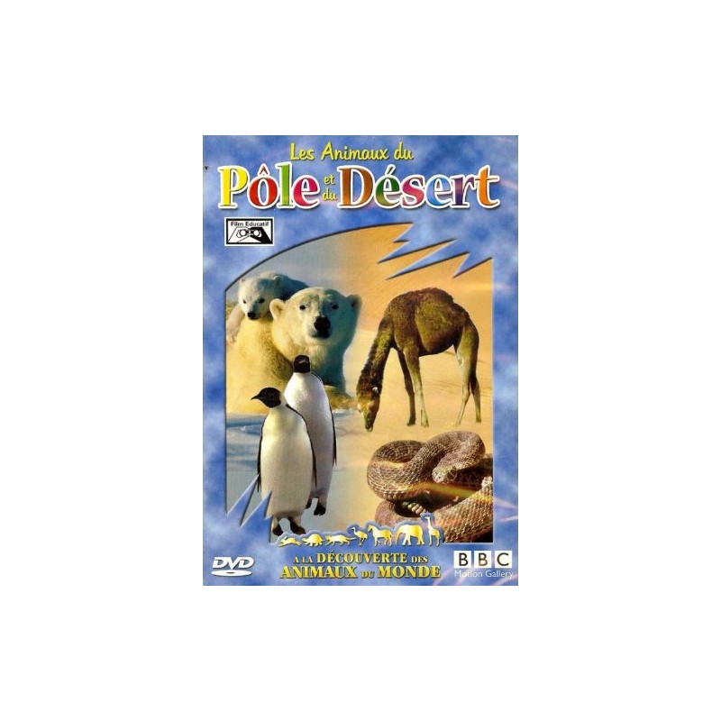 TITRE FICHE VIERGE CRÉATION dvd (occasion)(neuf)