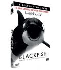 Blackfish (neuf)