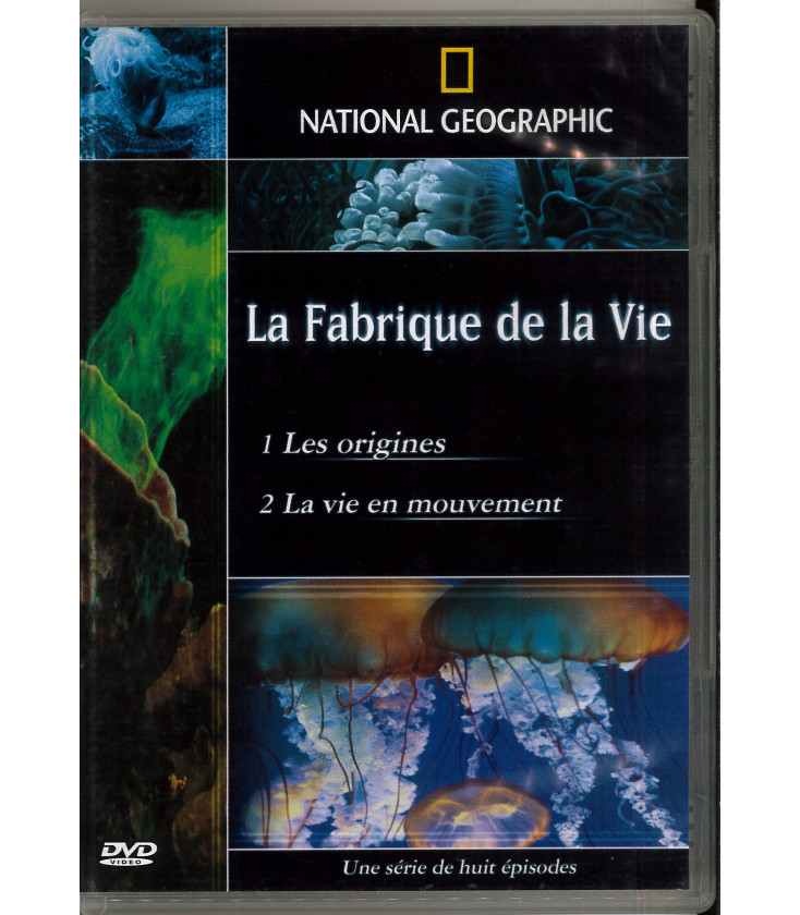 TITRE FICHE VIERGE CRÉATION dvd (occasion)(neuf)