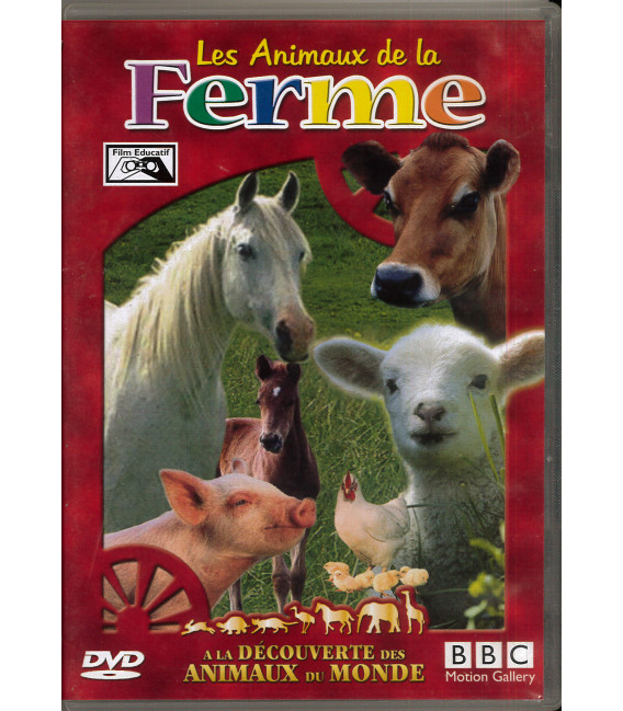 TITRE FICHE VIERGE CRÉATION dvd (occasion)(neuf)