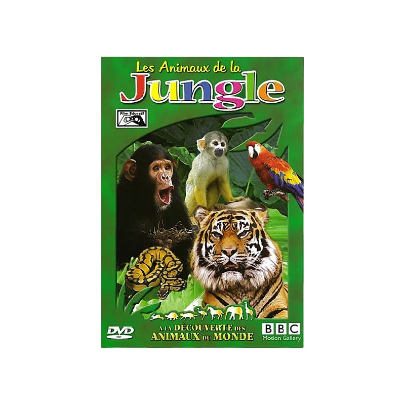 TITRE FICHE VIERGE CRÉATION dvd (occasion)(neuf)