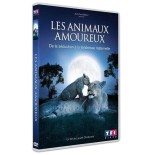 TITRE FICHE VIERGE CRÉATION dvd (occasion)(neuf)