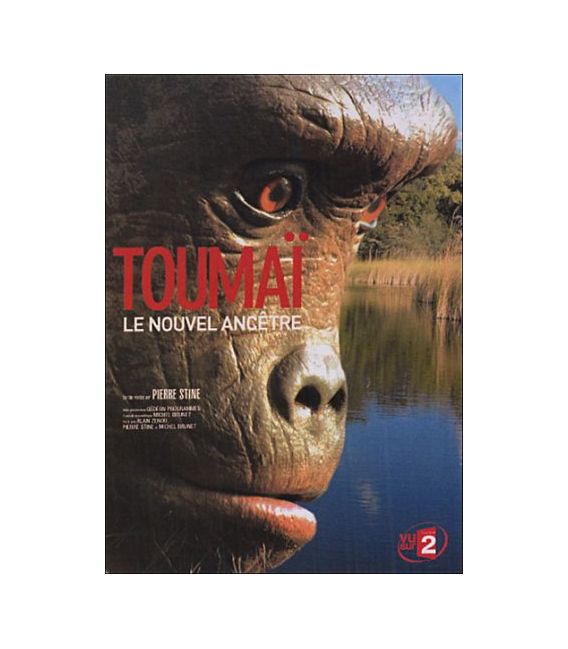 TITRE FICHE VIERGE CRÉATION dvd (occasion)(neuf)