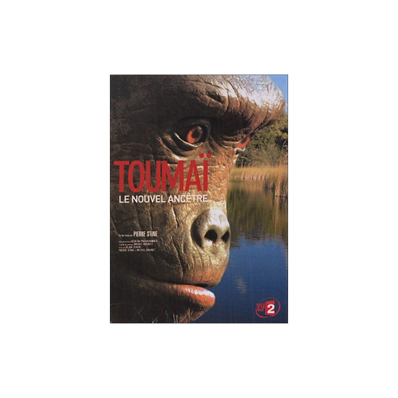 TITRE FICHE VIERGE CRÉATION dvd (occasion)(neuf)