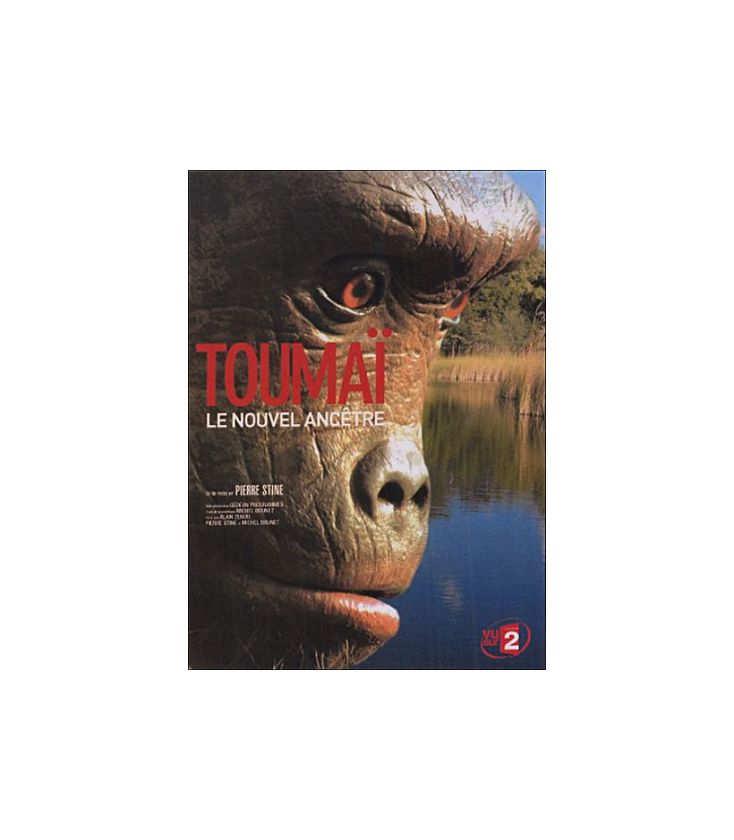 Toumaï, le nouvel ancêtre (neuf)