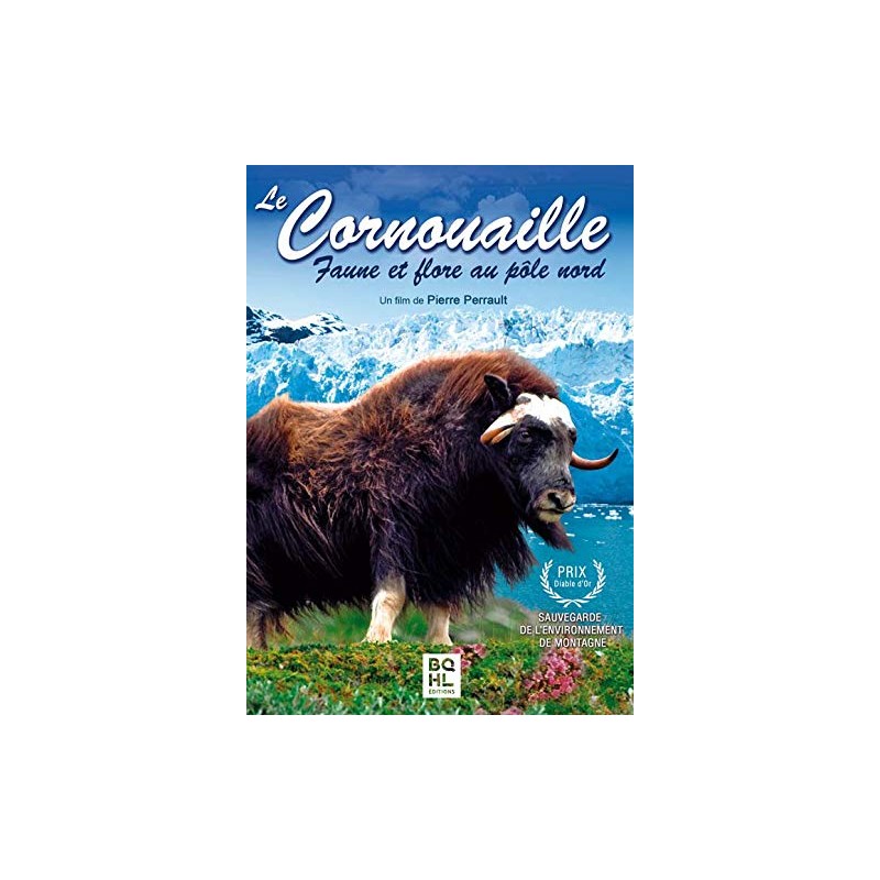 TITRE FICHE VIERGE CRÉATION dvd (occasion)(neuf)