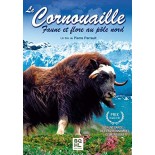 TITRE FICHE VIERGE CRÉATION dvd (occasion)(neuf)