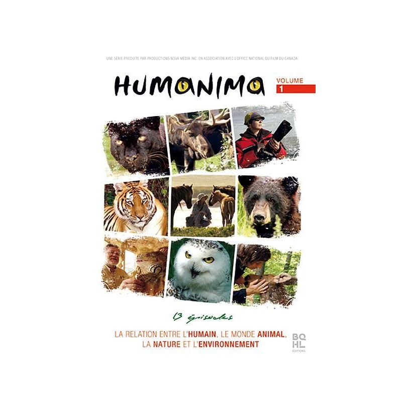 TITRE FICHE VIERGE CRÉATION dvd (occasion)(neuf)