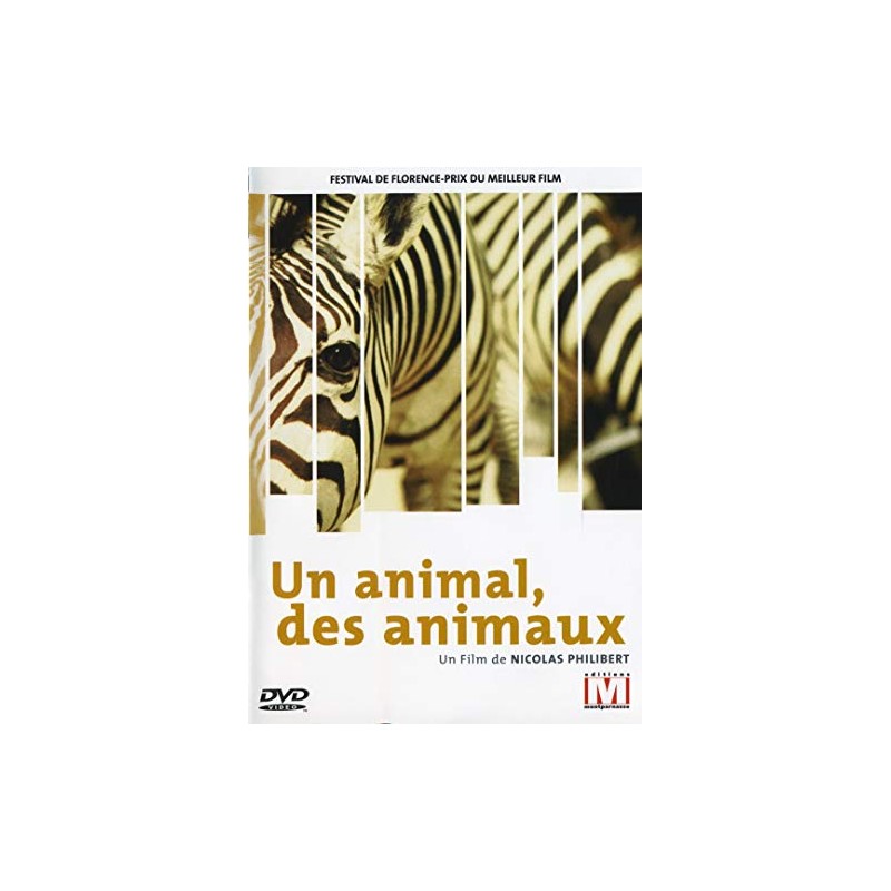 TITRE FICHE VIERGE CRÉATION dvd (occasion)(neuf)