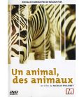 Un animal, des animaux (neuf)