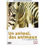 TITRE FICHE VIERGE CRÉATION dvd (occasion)(neuf)