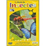 TITRE FICHE VIERGE CRÉATION dvd (occasion)(neuf)