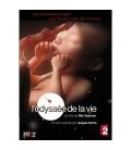 TITRE FICHE VIERGE CRÉATION dvd (occasion)(neuf)