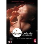 TITRE FICHE VIERGE CRÉATION dvd (occasion)(neuf)