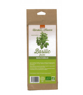 Basilic Feuilles, Lamiacées Bio