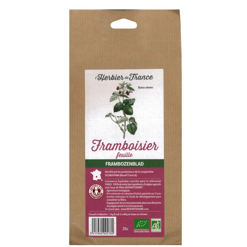 Camomille Romaine fleur Bio