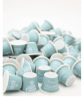 Capsules biodégradables de café bio NELSON (déca) x15