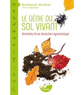 TITRE FICHE VIERGE CRÉATION LIVRE