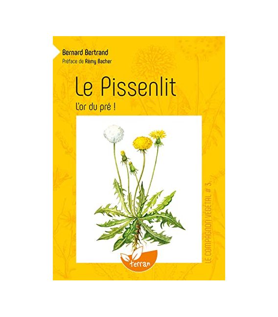 Le pissenlit, l'or du pré