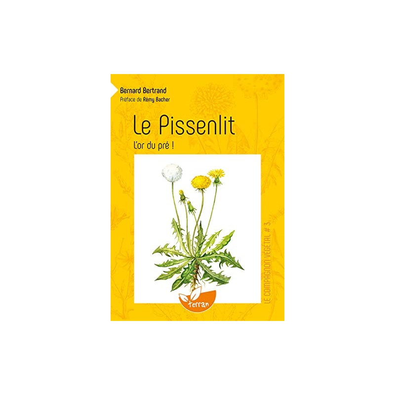 TITRE FICHE VIERGE CRÉATION LIVRE