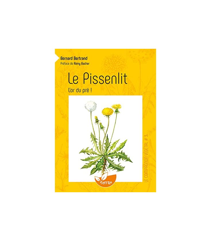 Le pissenlit, l'or du pré