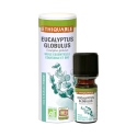Eucalyptus Globulus - Huile essentielle bio & équitable