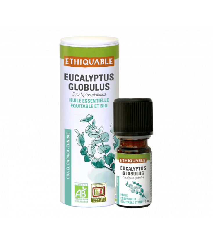 Eucalyptus Globulus - Huile essentielle bio & équitable