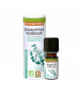 Eucalyptus Globulus - Huile essentielle bio & équitable