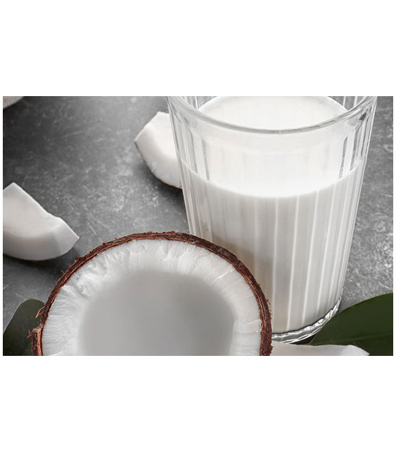 Lait de Coco bio 15%