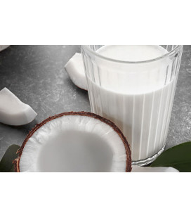 Lait de Coco bio 17% - 20,3 L - Bib