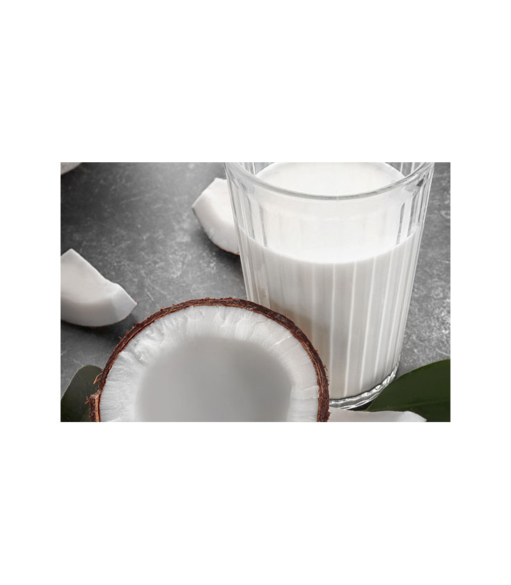 Lait de Coco bio 15%