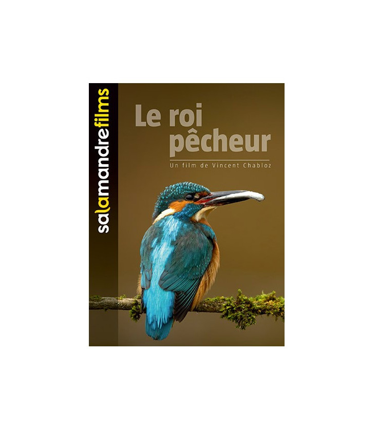 Le roi pêcheur (occasion)